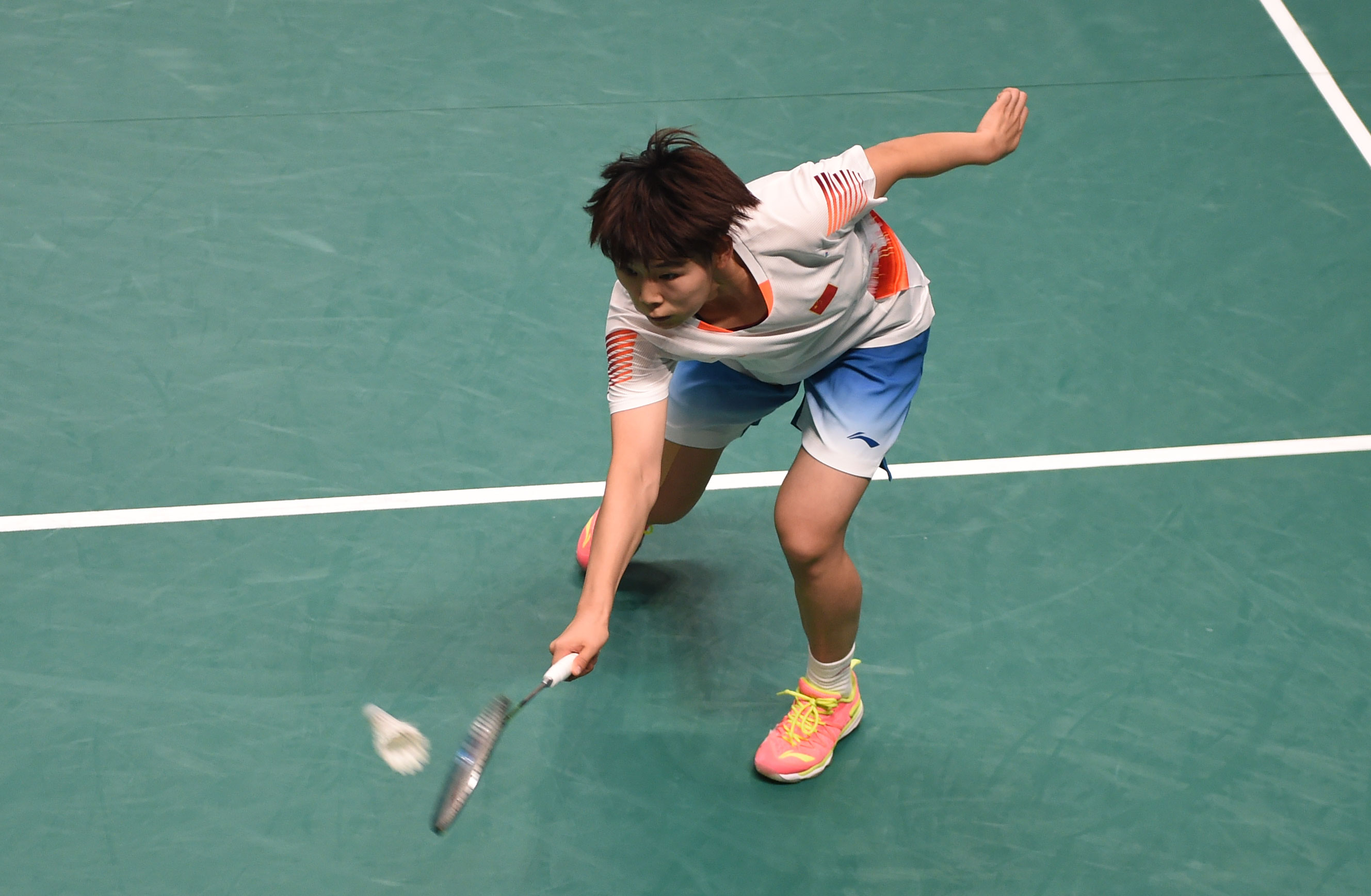 里尼体系偏 里尼体系偏