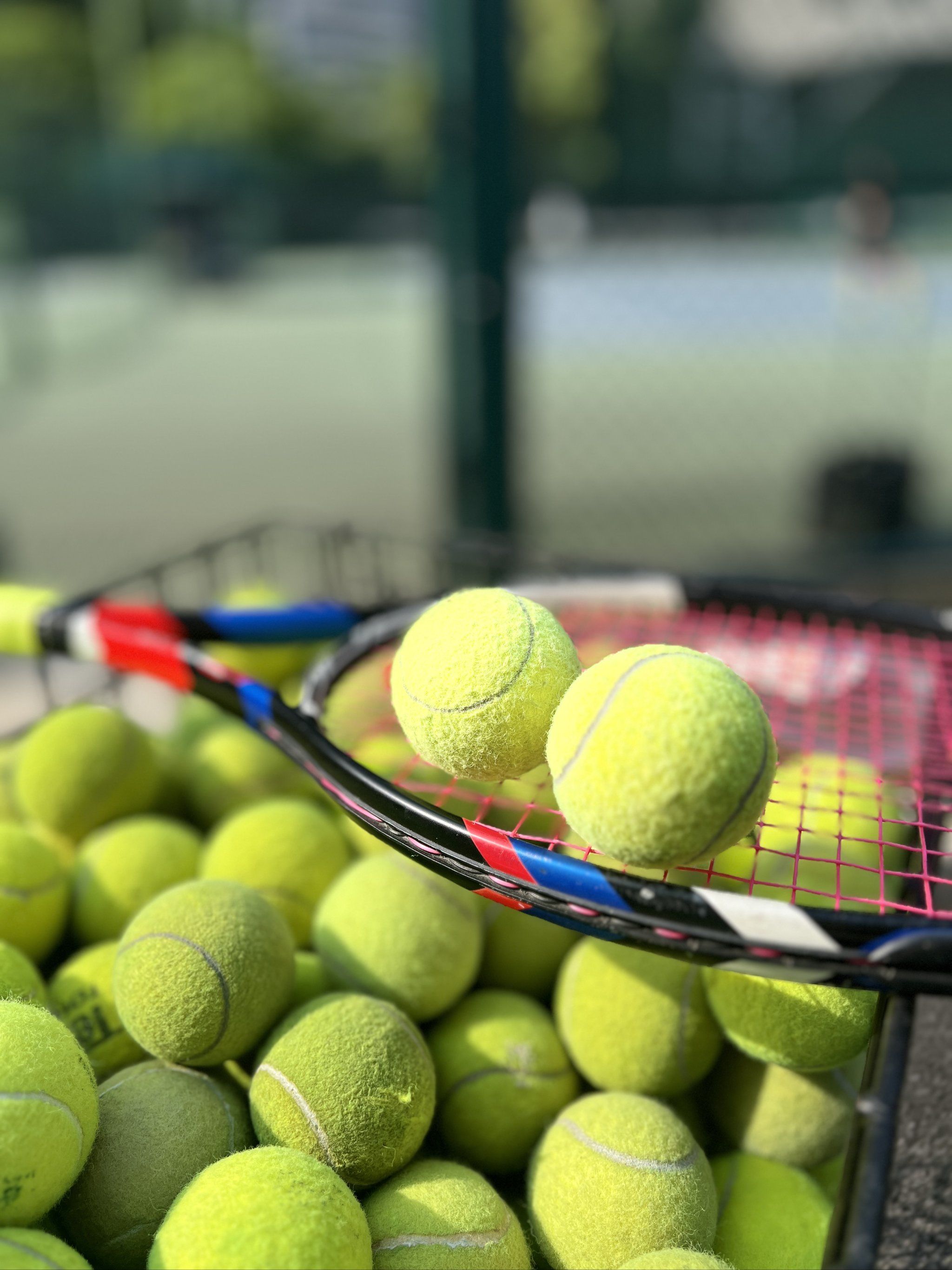 是把机会转 是把机会转